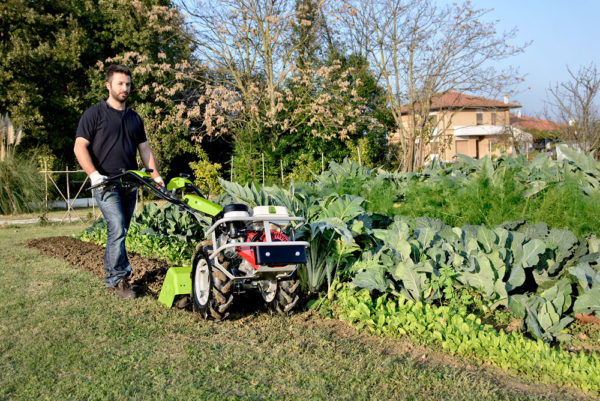Motoculteur fraise arrière G110 Grillo – Image 3